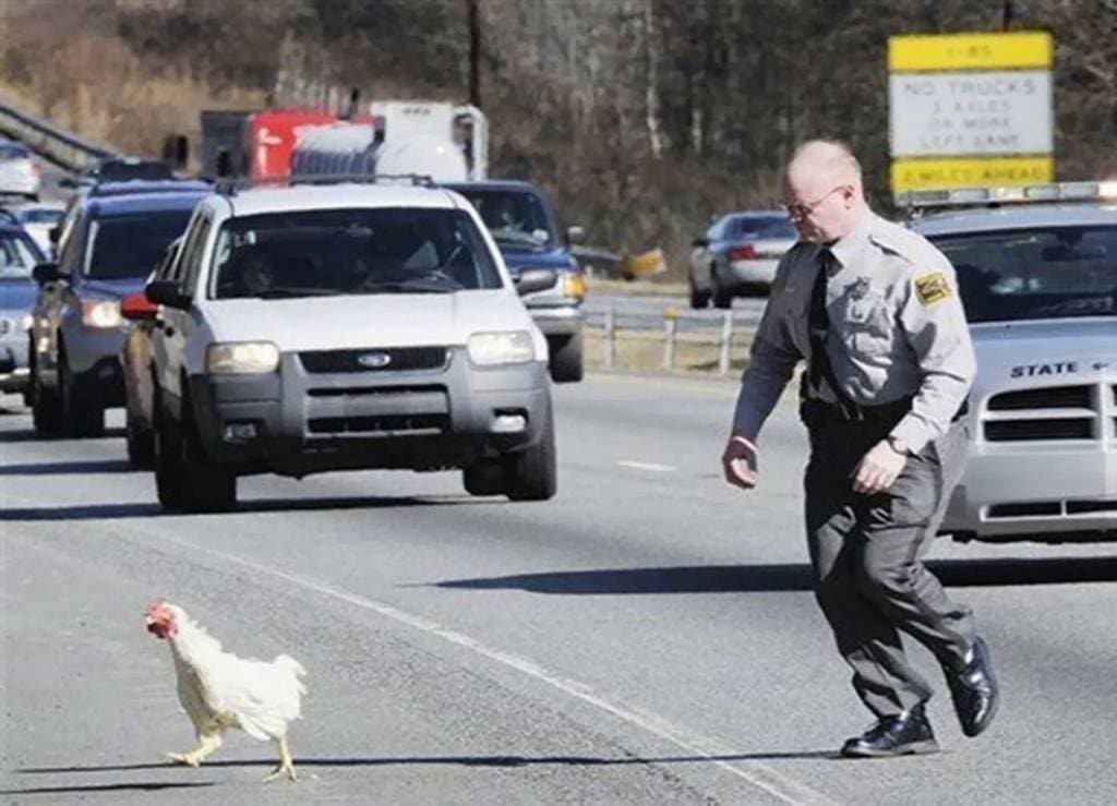 Estas fotos hilariantes da polícia vão mostrar-lhe o lado mais leve da lei